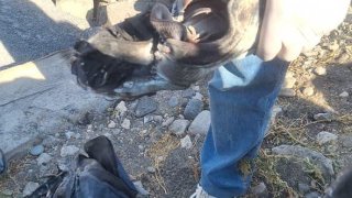 Задержано одно лицо по факту убийства в Мердзаване